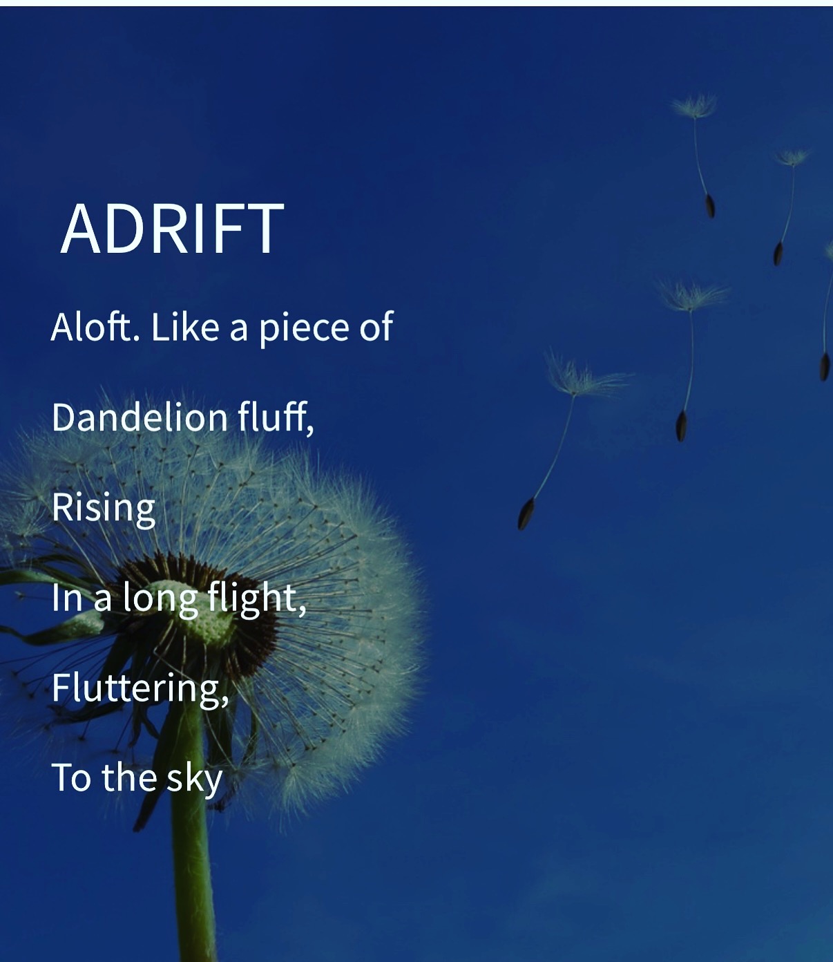 Poetry by Kelly Gray
